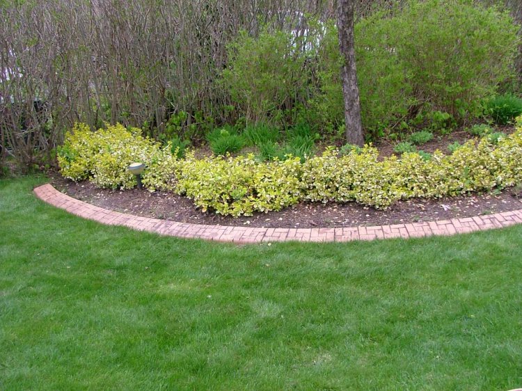 Concrete Garden Edging